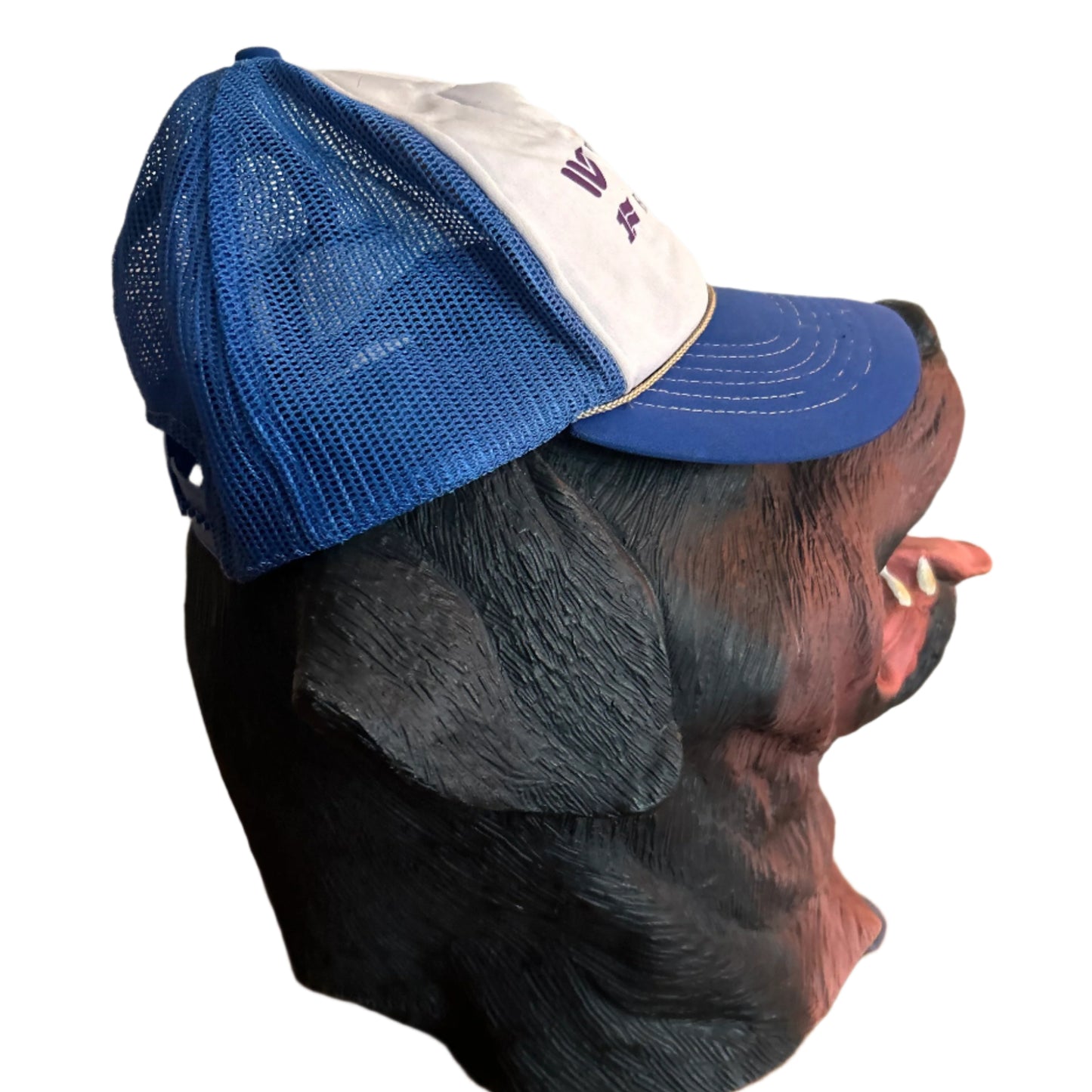 Wisconsin Insurance Trucker Hat