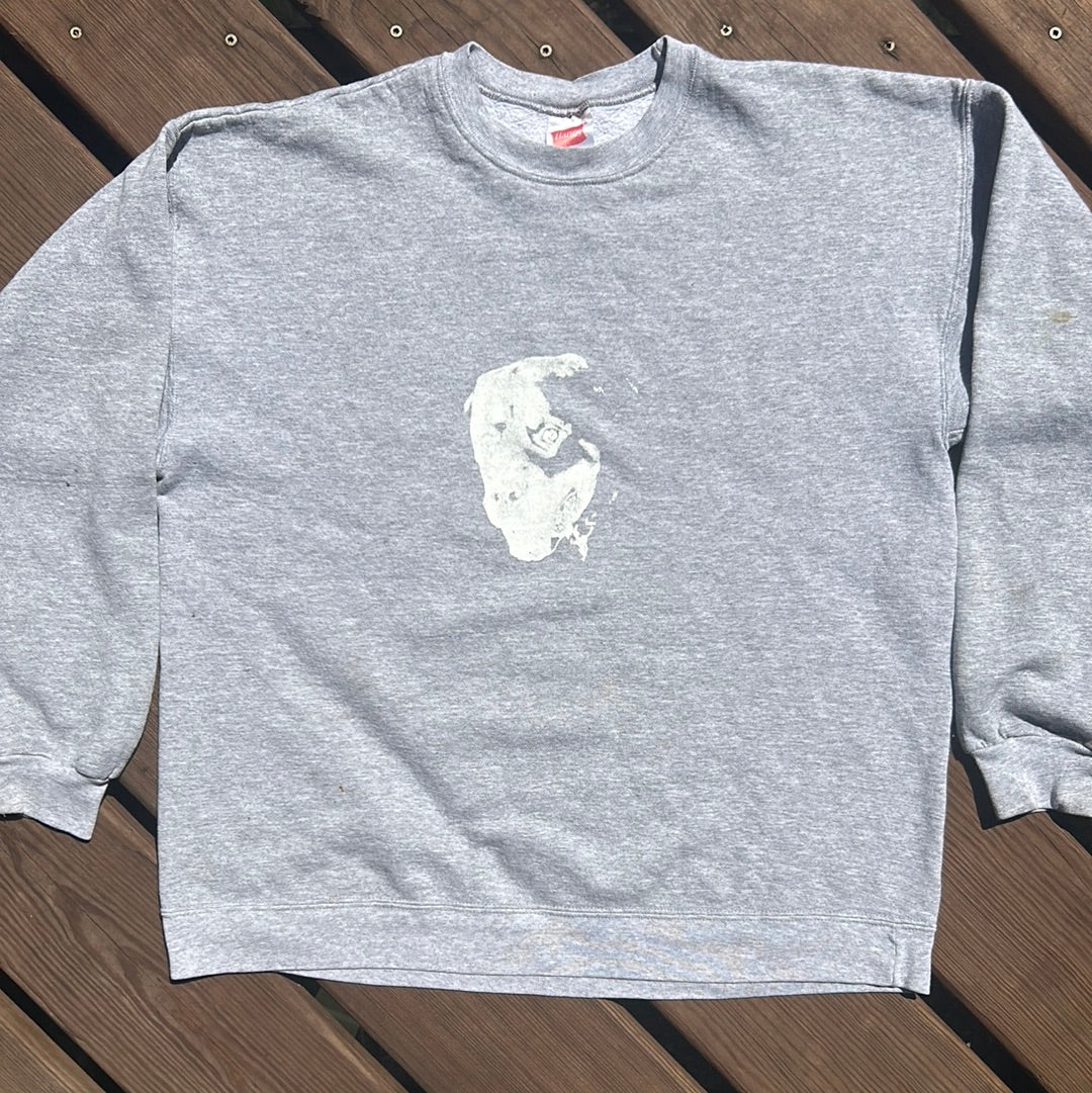 Hanes Phart Merch - Medium - 21” x 24”