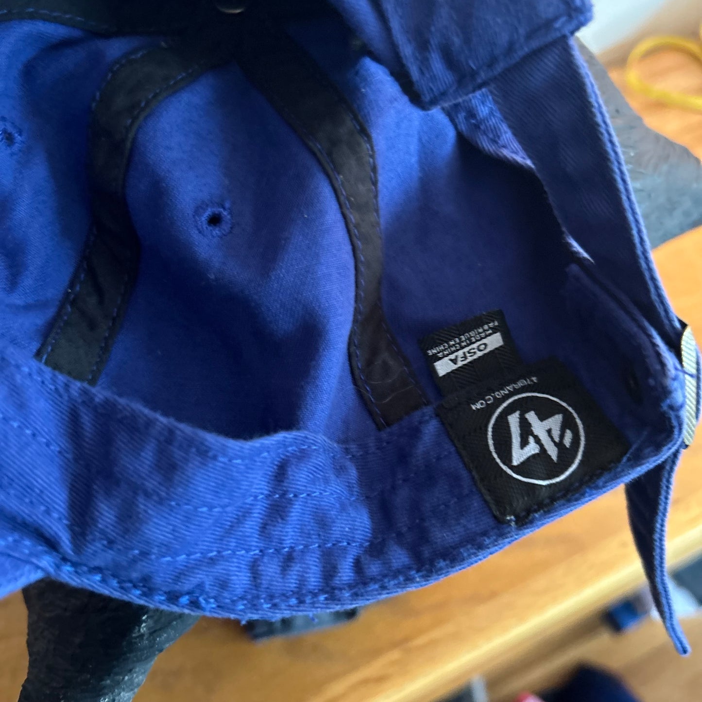 2016 Chicago Cubs NL Champions Dad Hat