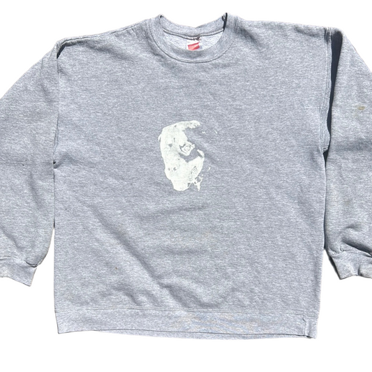 Hanes Phart Merch - Medium - 21” x 24”