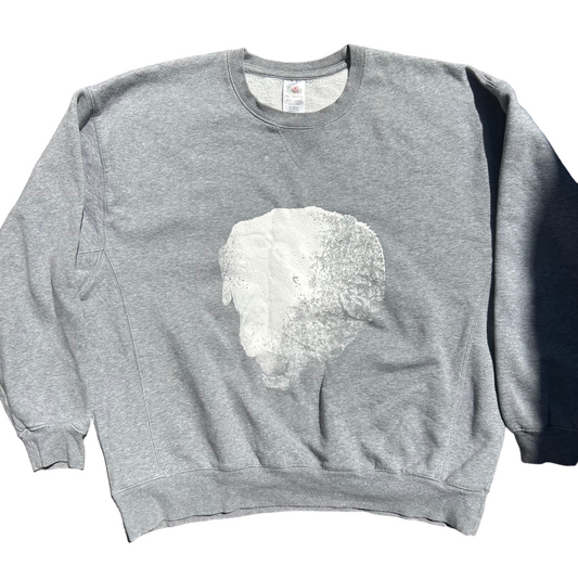 Fruit of the Loom Test Print Phart Merch - Boxy XLarge - 25” x 26”