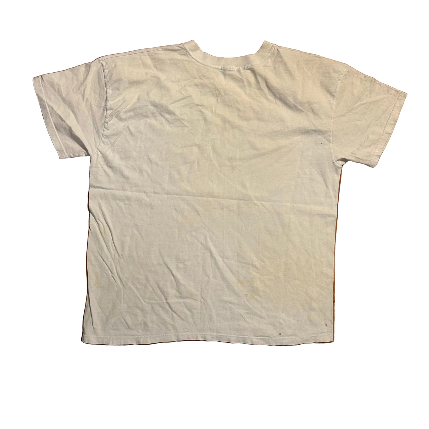 90's Where's Al Gore When My Environment Needs a Clean Up Socks the Cat Litter White Tshirt - Large - 22.5" x 27"