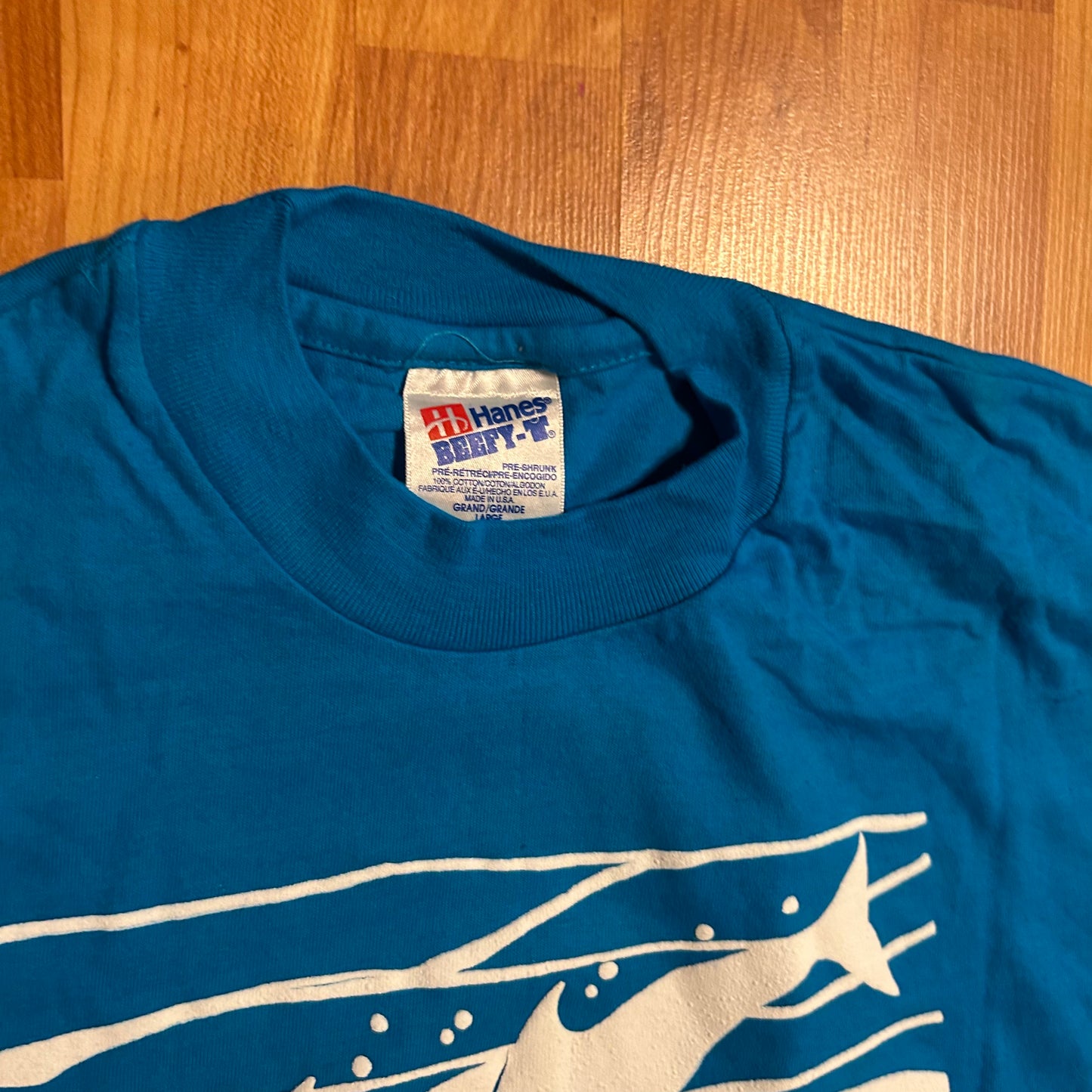 90's Hanes Beefy Atlantis Lost World Adventures Blue Tshirt - Medium - 21.5" x 30"