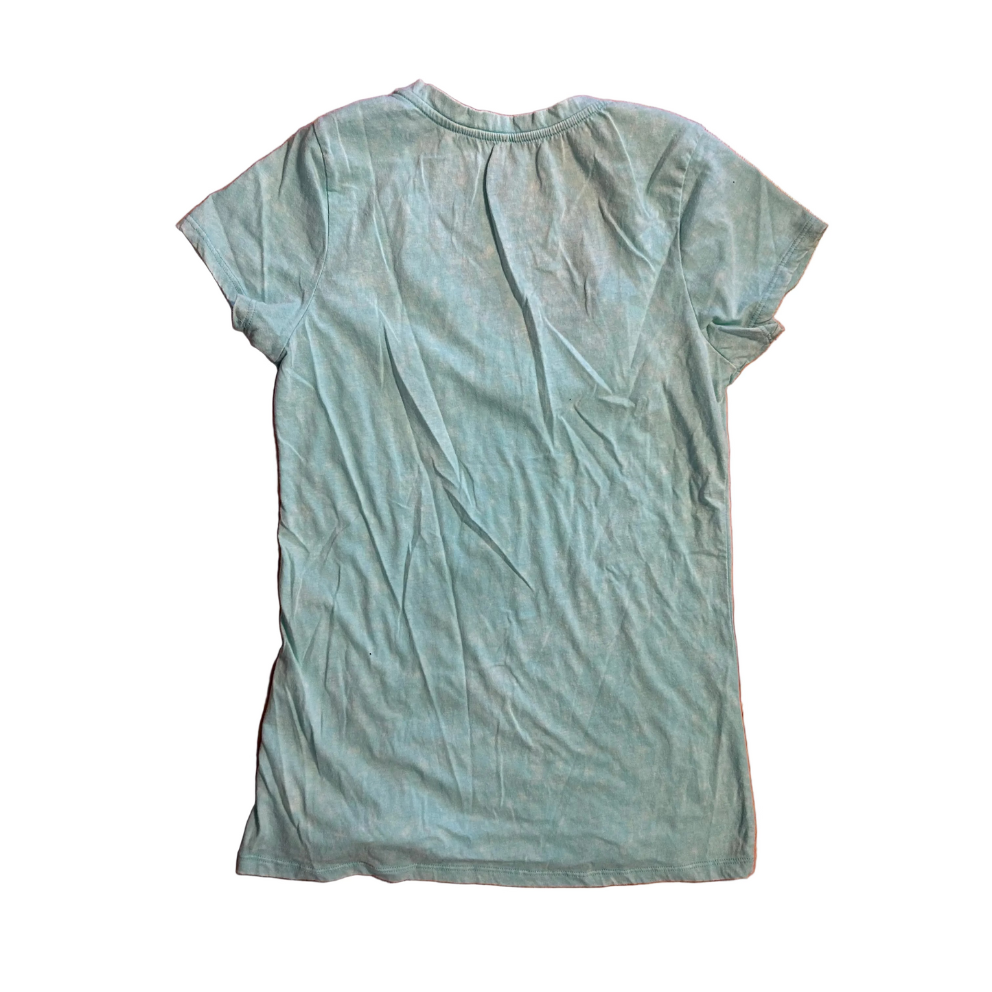 Grumpy Cat I Had Fun Once Mint Green Tshirt - XSmall - 16" x 27"