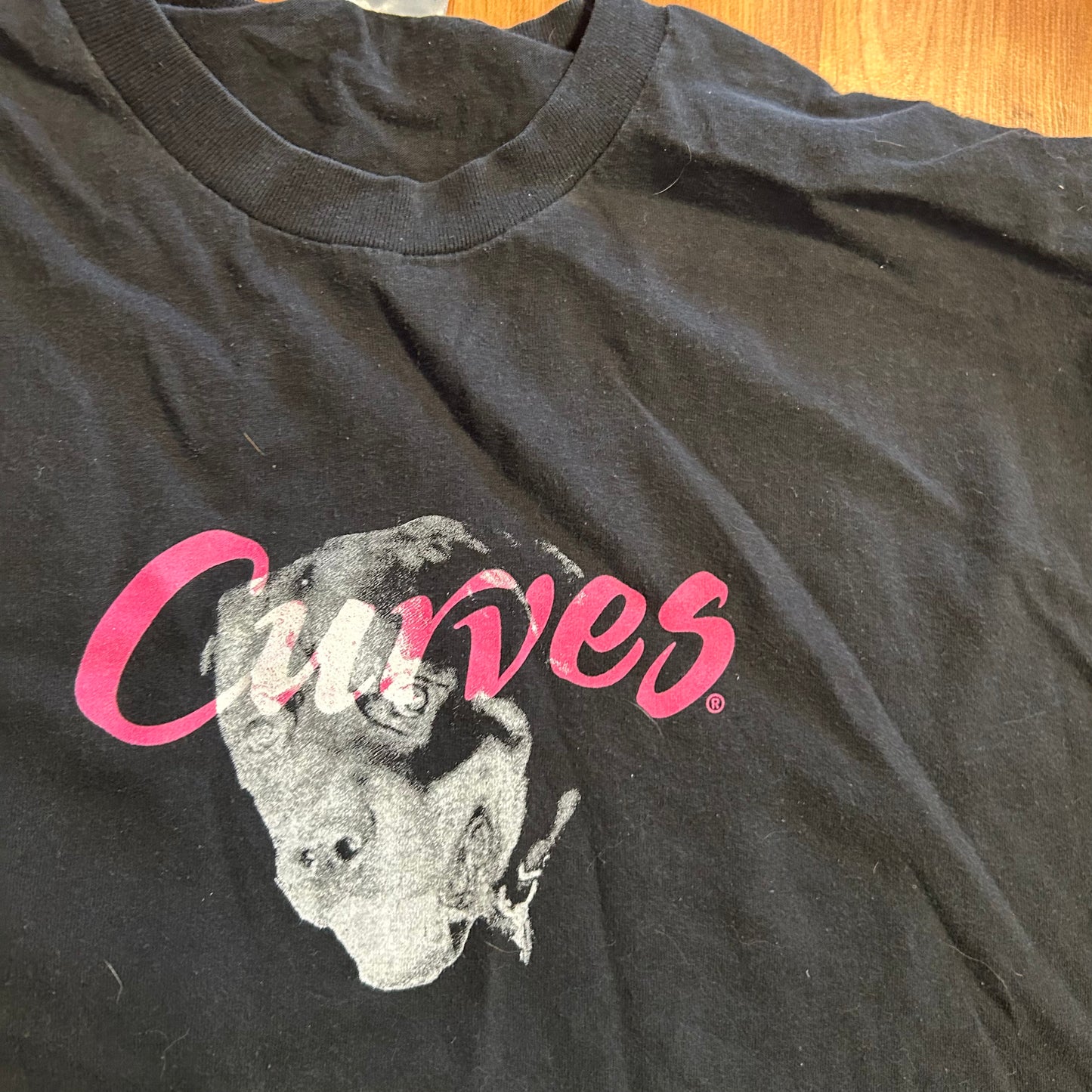 Hanes Curves Power to Amaze Yourself Black Phart Merch Tshirt - Large - 23" x 28.5"