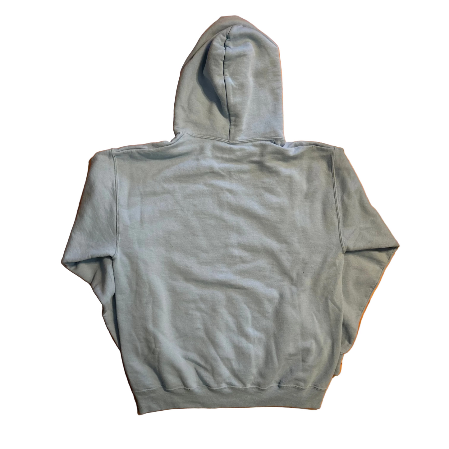 Light Blue God Gave Me Grandkids Hoodie Sweatshirt - Large - 22" x 27.5"