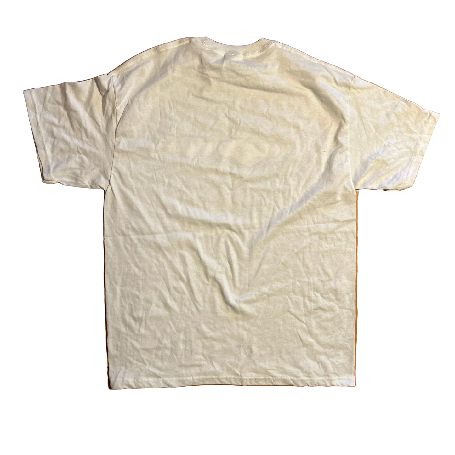 Hanes Heavyweight Florida White Tshirt - Medium - 21.5" x 30"
