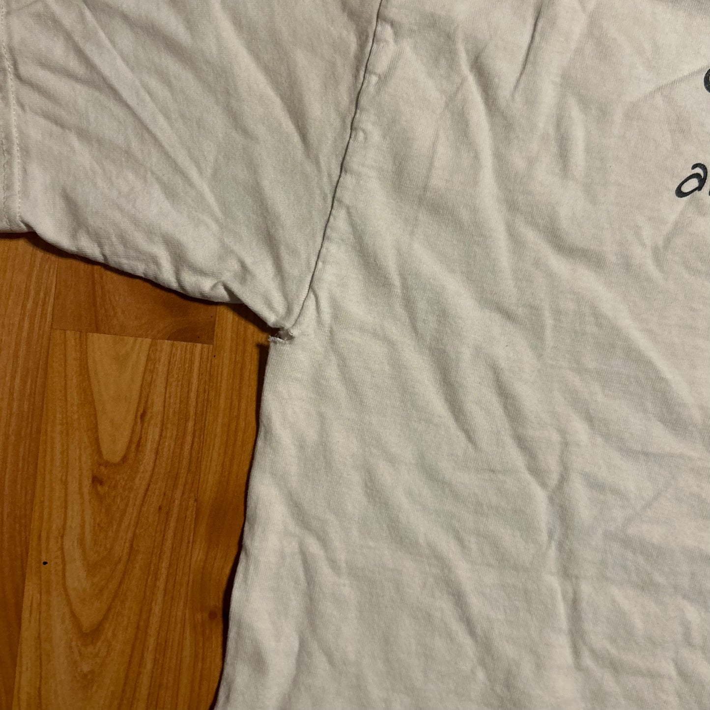 Hanes Goin Out West Gonna Do What I Want and I'm Gonna Get Paid White Tshirt - Medium - 21" x 28"