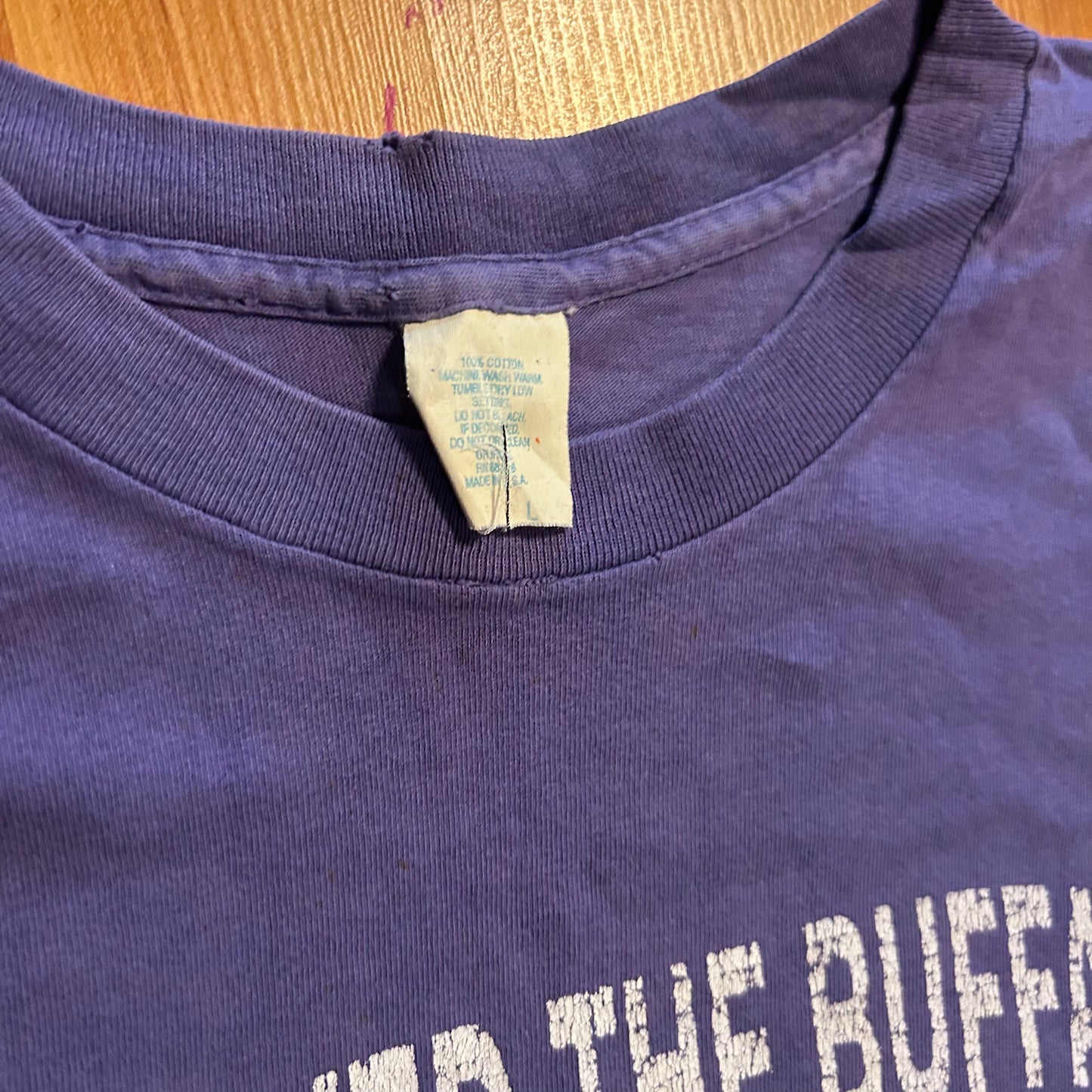 80/90's I Survived The Buffalo Purple Tshirt - Large - 22.5" x 27"