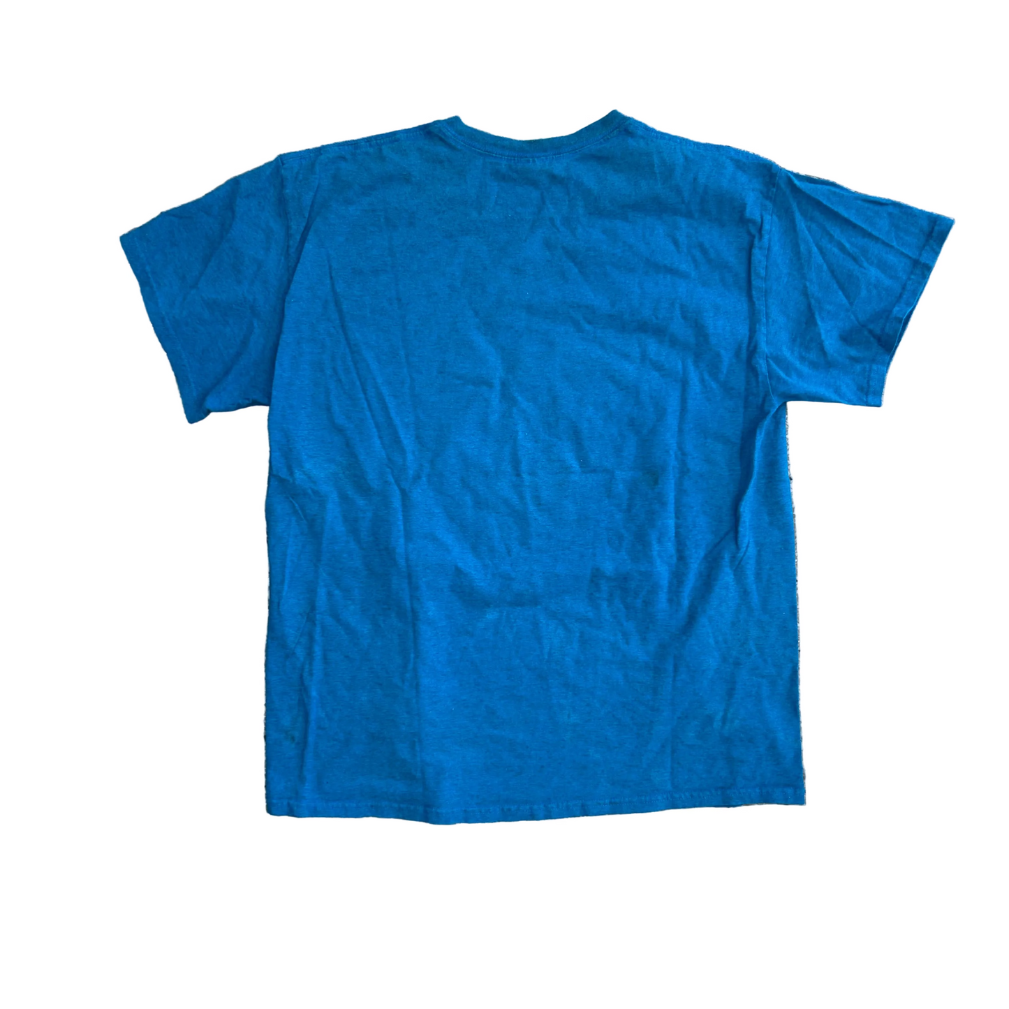 Gildan The Caribbean Carnival Blue Tshirt - Medium - 20.5" x 27"