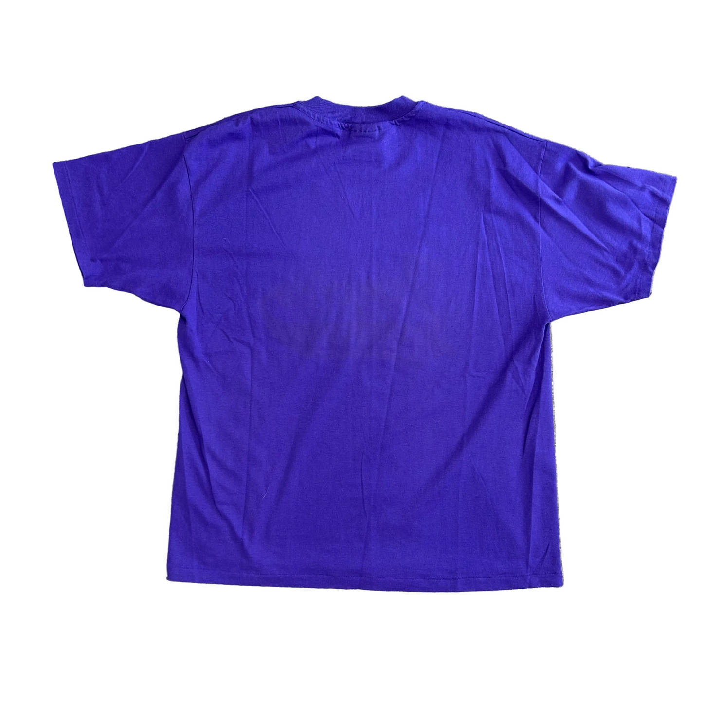 90's Jampico Bobcats Purple Tshirt - Large - 23" x 30"