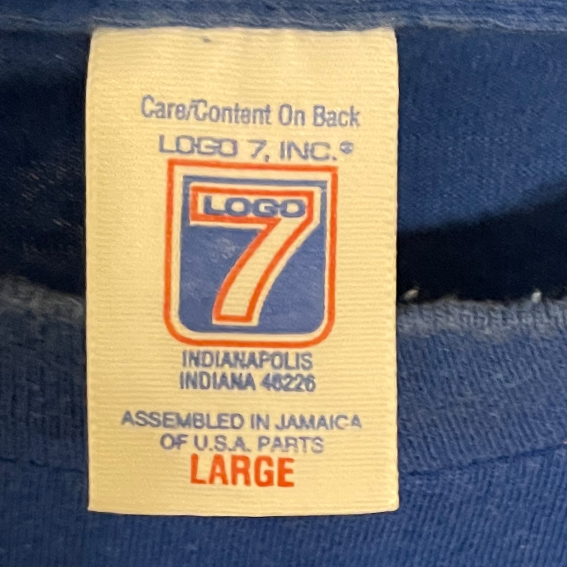 Camiseta de entrenamiento de primavera de los Cachorros de la década de 1990 - 20" x 31"