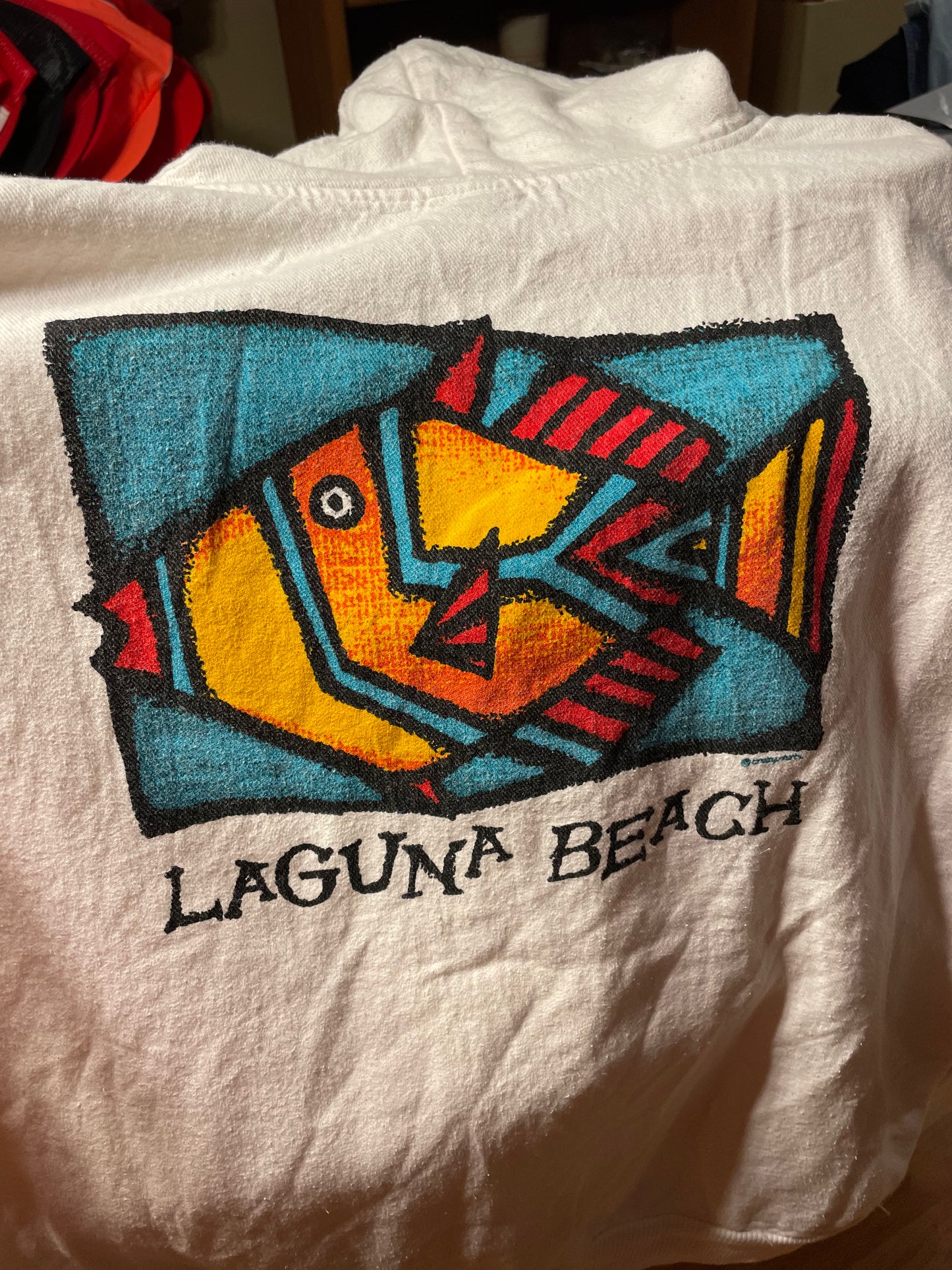Sudadera con capucha Laguna Beach de los años 90 - 25.5 "x 26"