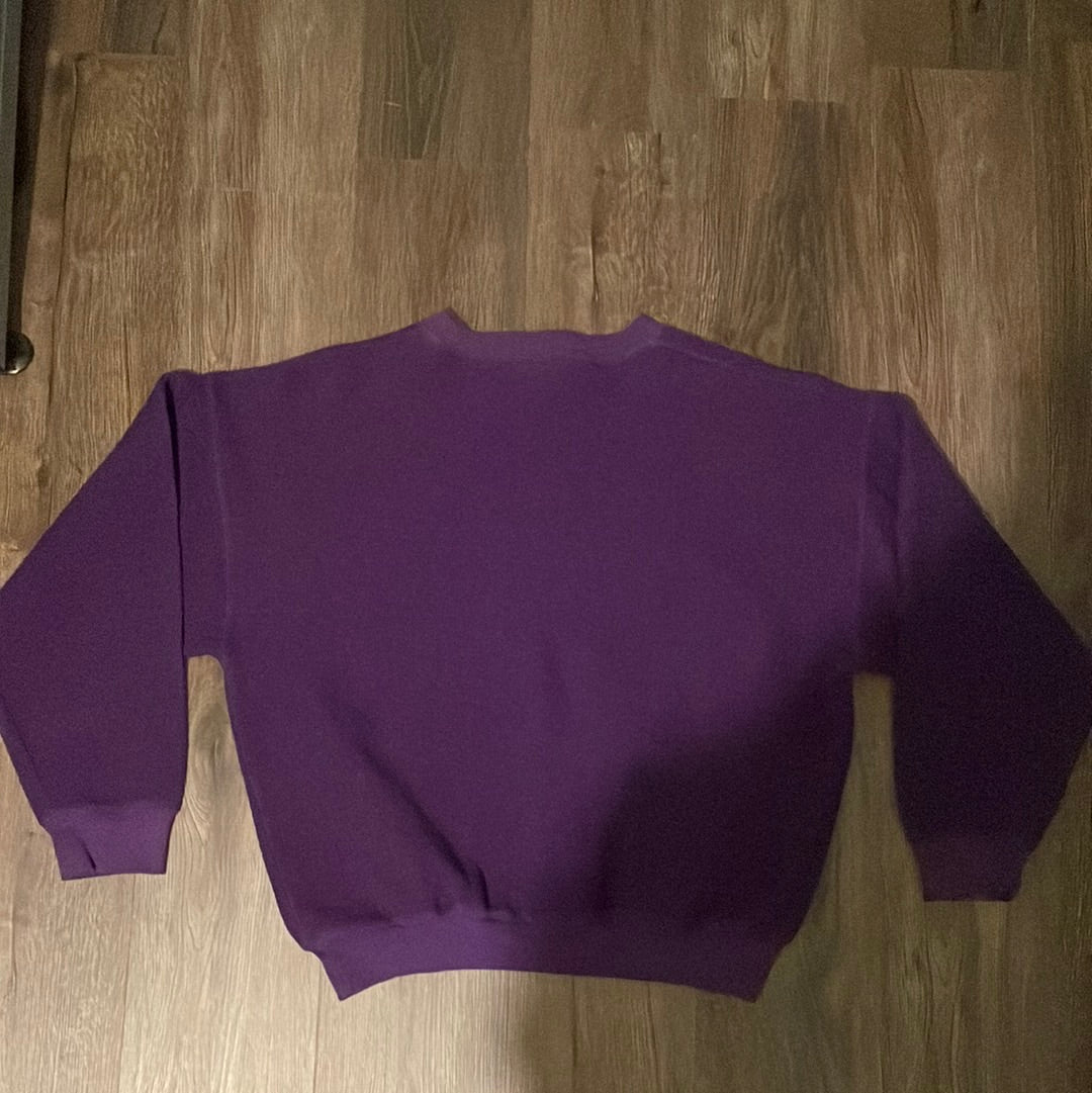 Jersey de cuello redondo Riddell Minnesota Vikings de lana de los 90 - 24" x 24"