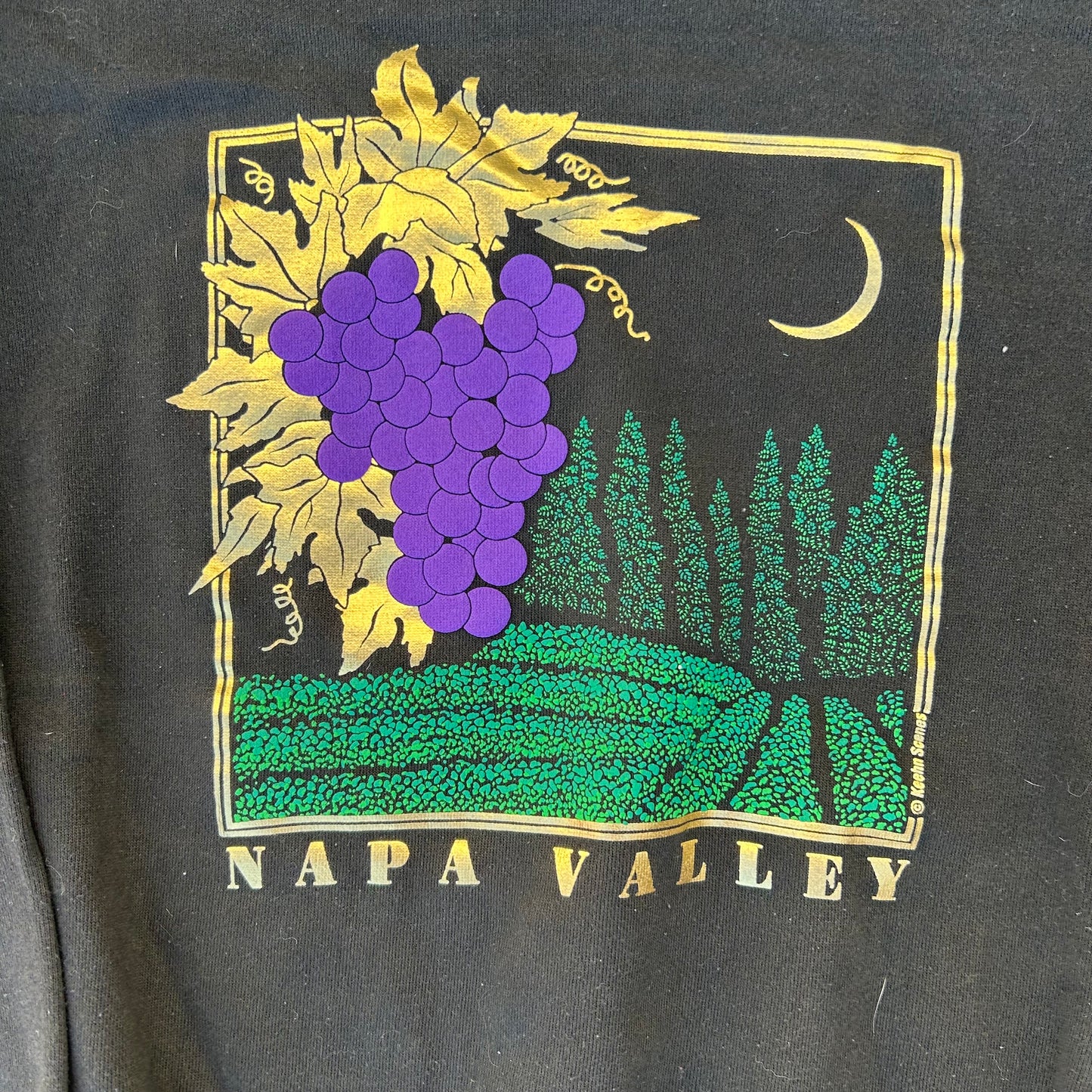 90’s Hanes Napa Valley Crewneck Sweatshirt - Cropped Medium - 21" x 23"