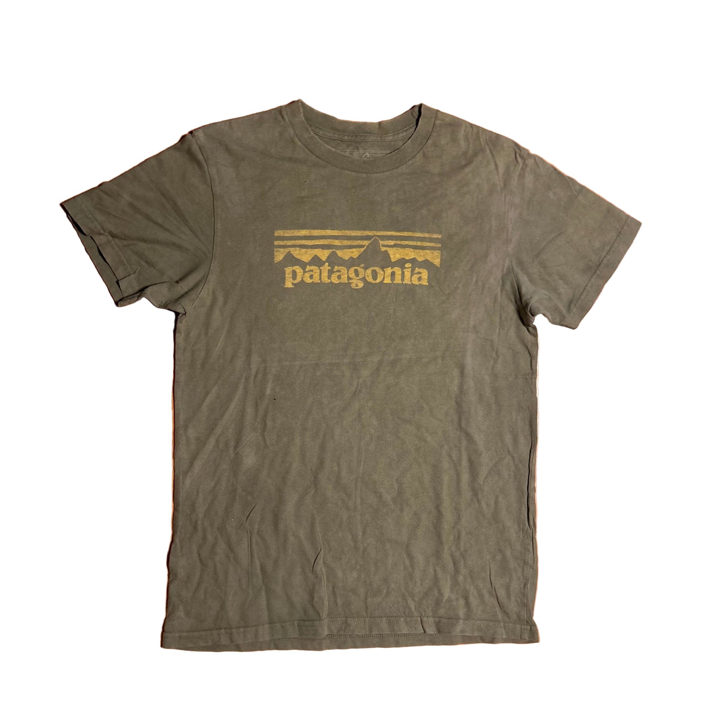 Patagonia Phartagonia Green Logo Tshirt - Small - 18.5” x 27.5”