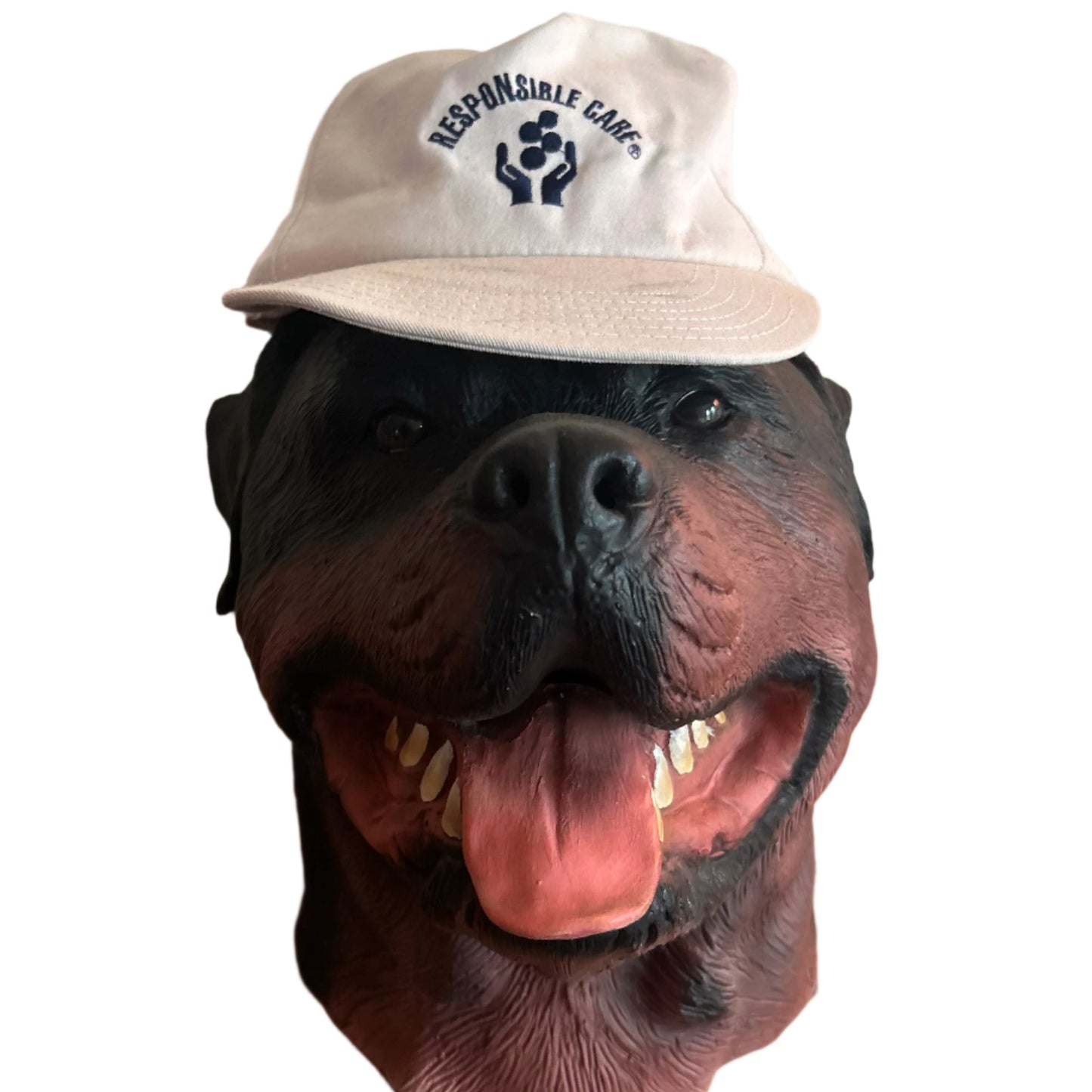 Responsible Care Snapback Hat