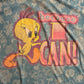 90’s Tweety Looney Tunes Because I Can AOP Tshirt - XLarge - 24” x 30”