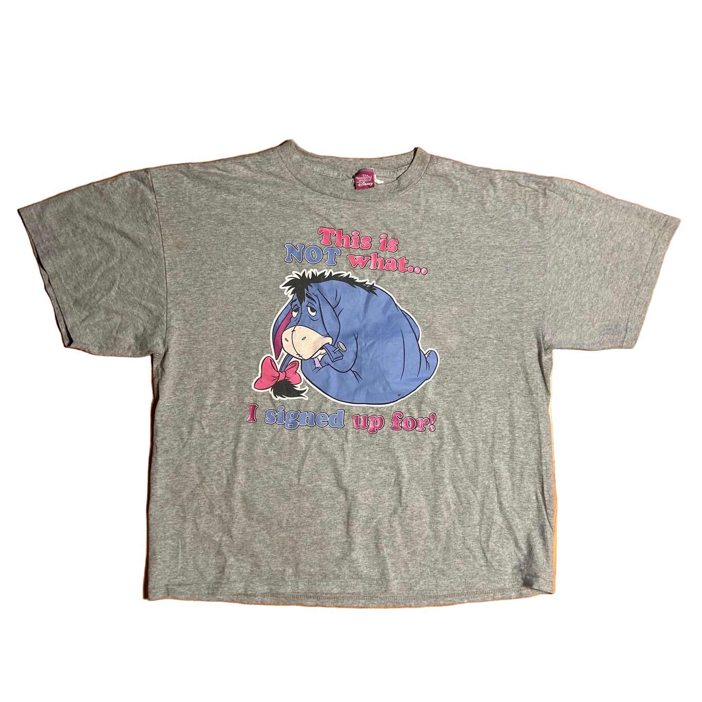 Disney Eeyore This is Not What I Signed Up For Grey Gray Tshirt - Large - 23.5” x 27”