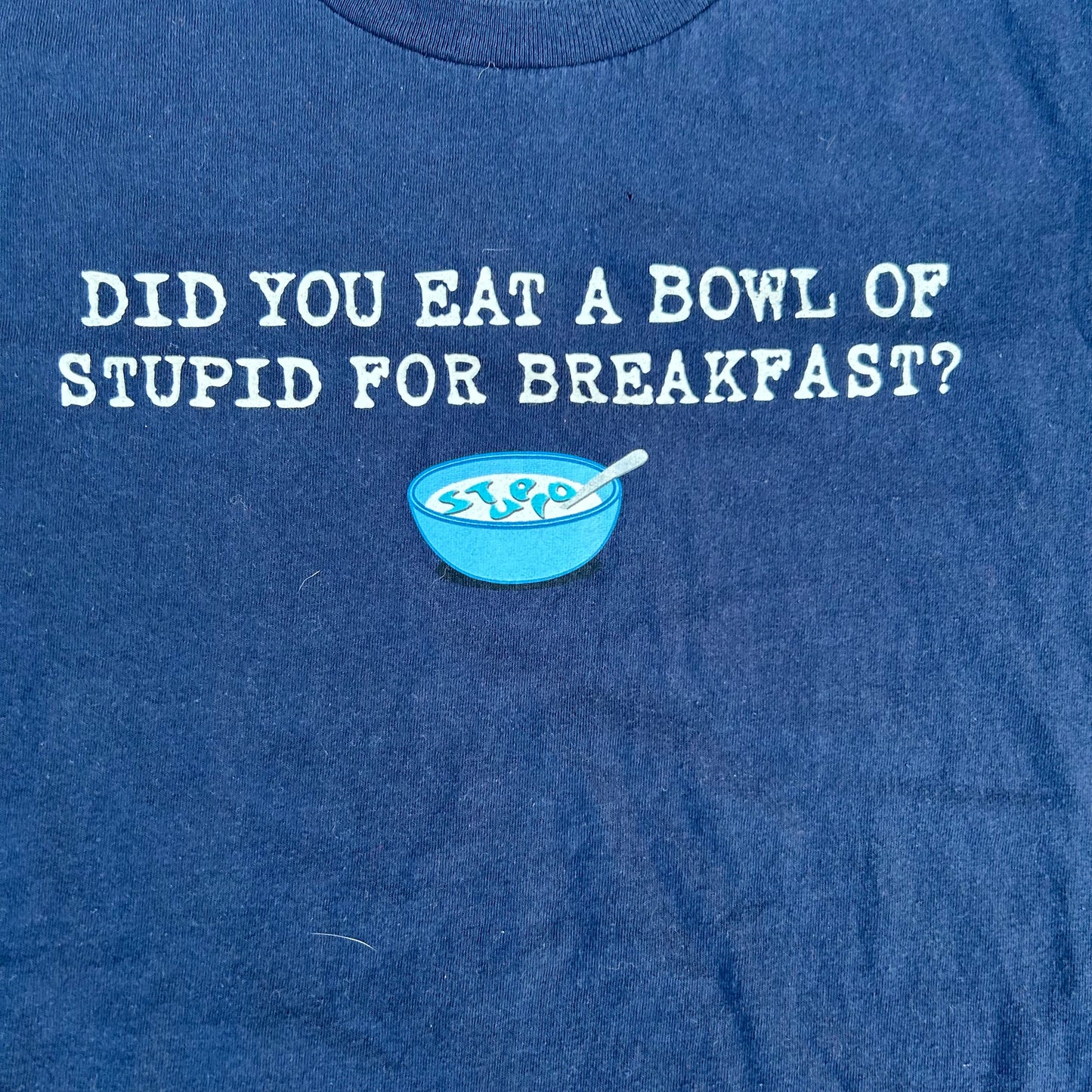 Did You Eat a Bowl of Stupid for Breakfast Funny Joke Tshirt - Medium - 21” x 27.5”