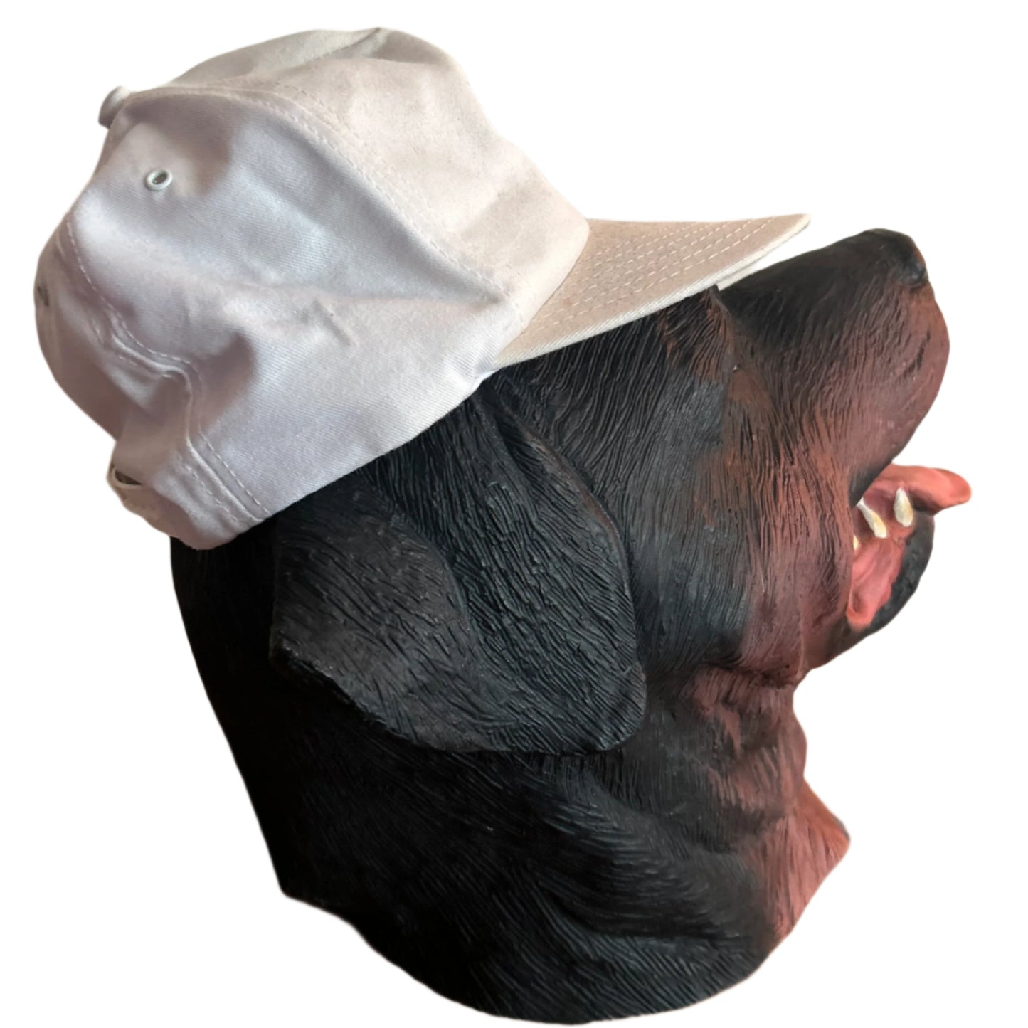 Responsible Care Snapback Hat