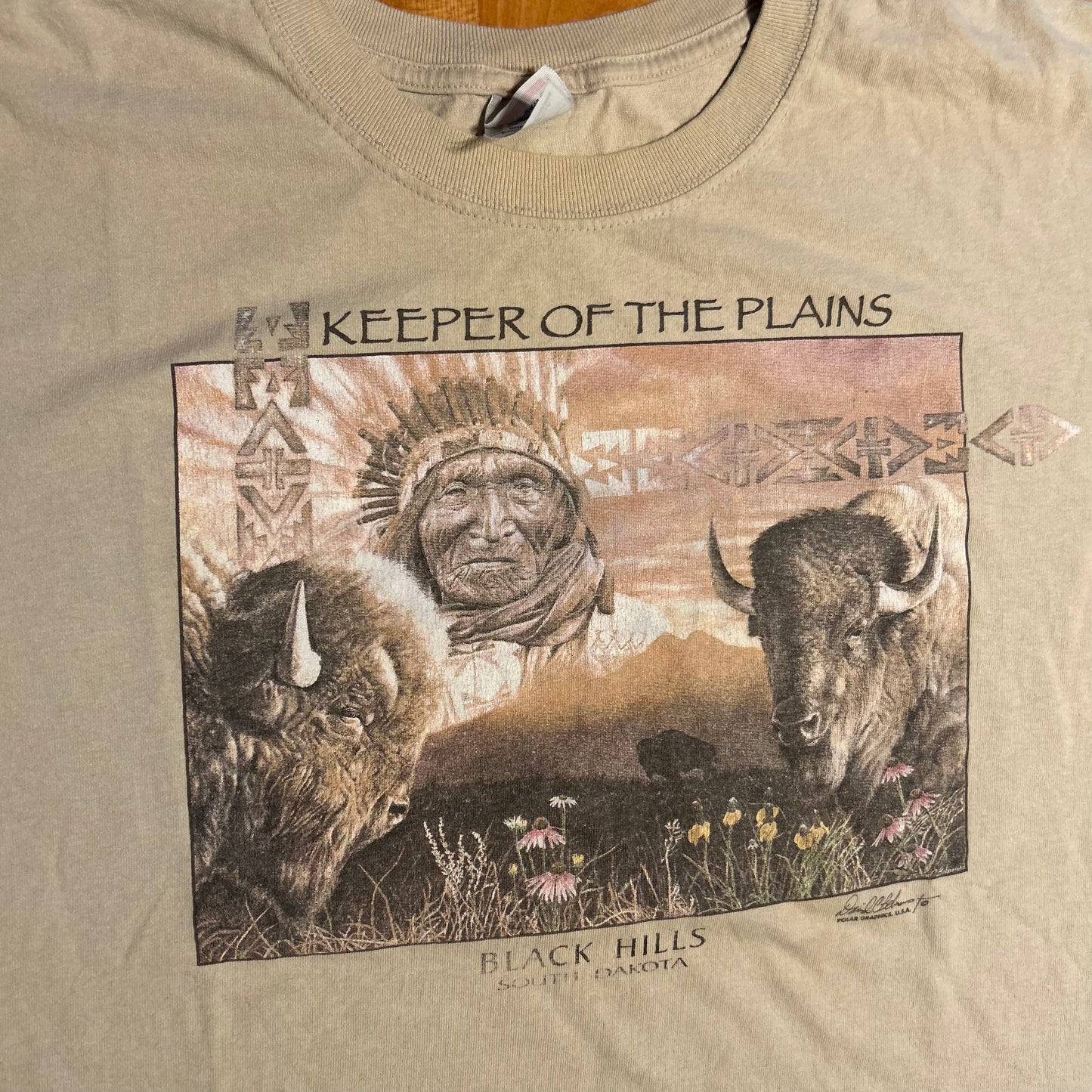 Keeper of the Plains Black Hills South Dakota Bison Buffalo Tshirt - XLarge - 24" x 27.5"