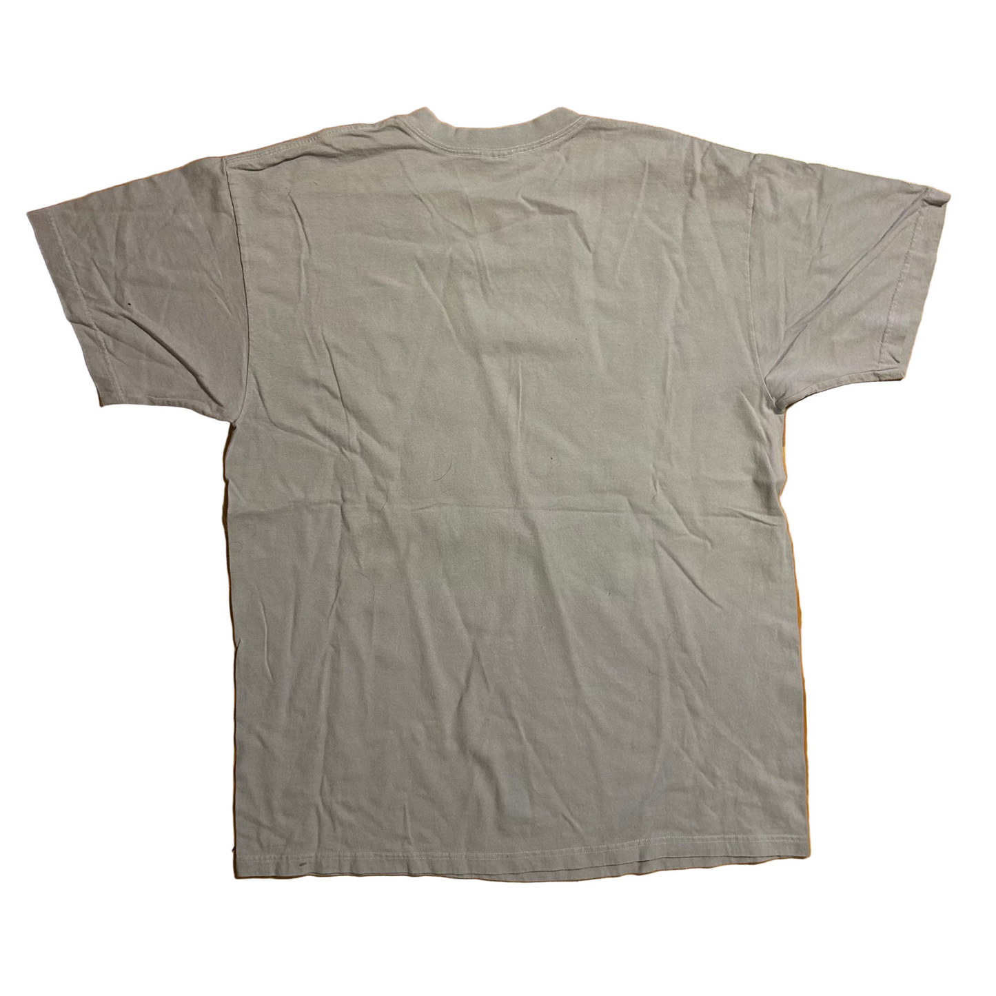 Comfort Colors Bird House Flowers Purple Tshirt - Large - 22" x 30"