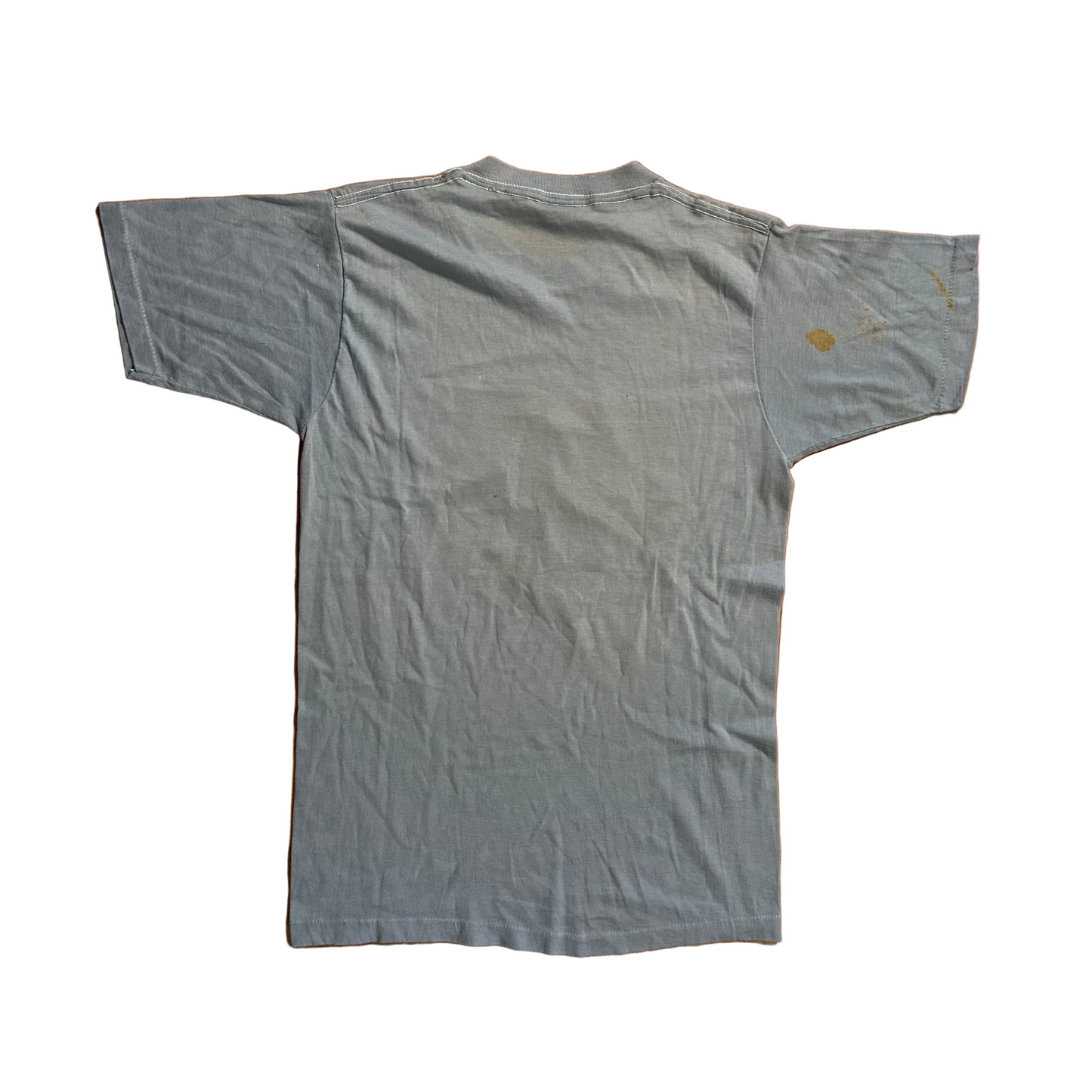 80's Washington DC Pride Rainbow Light Blue Tshirt - XSmall - 16" x 25"