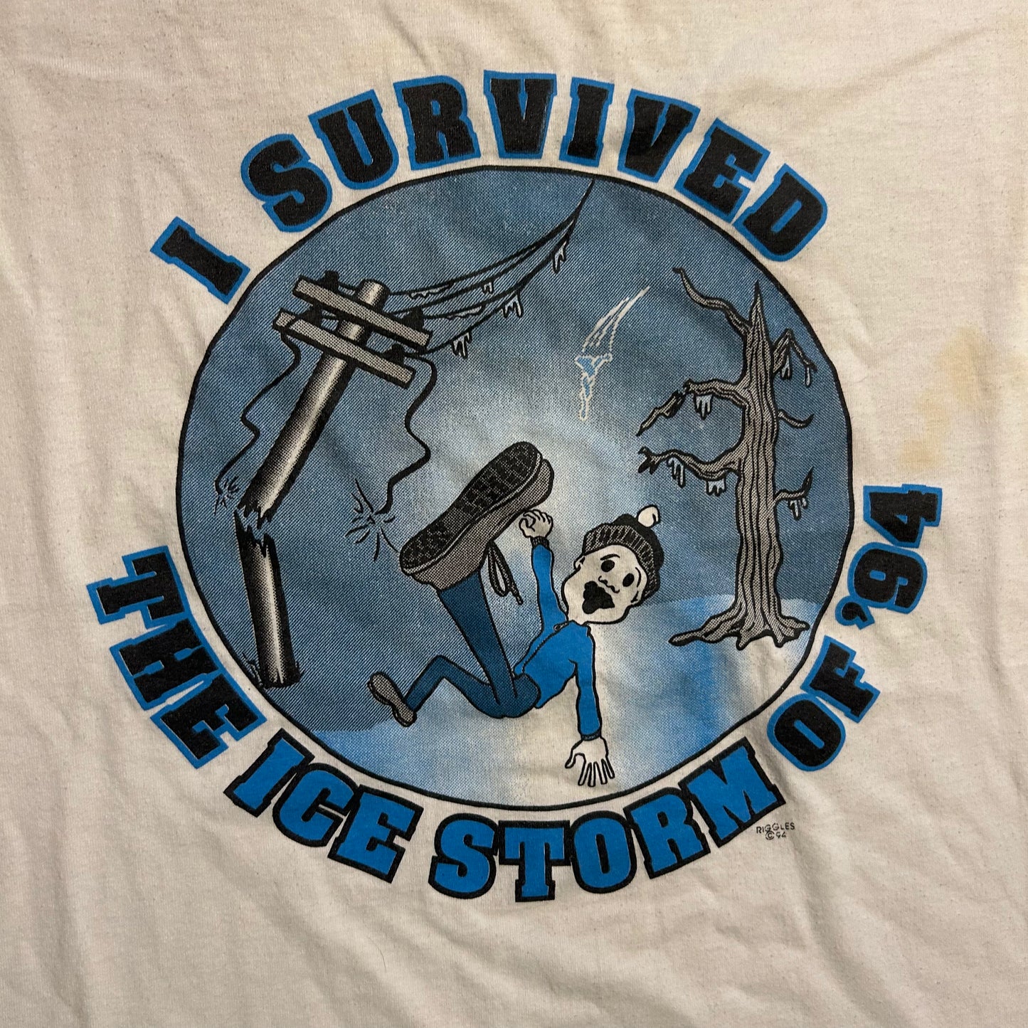 90's FOTL Best I Survived The Ice Storm of 1994 White Tshirt - Medium - 21" x 27.5"