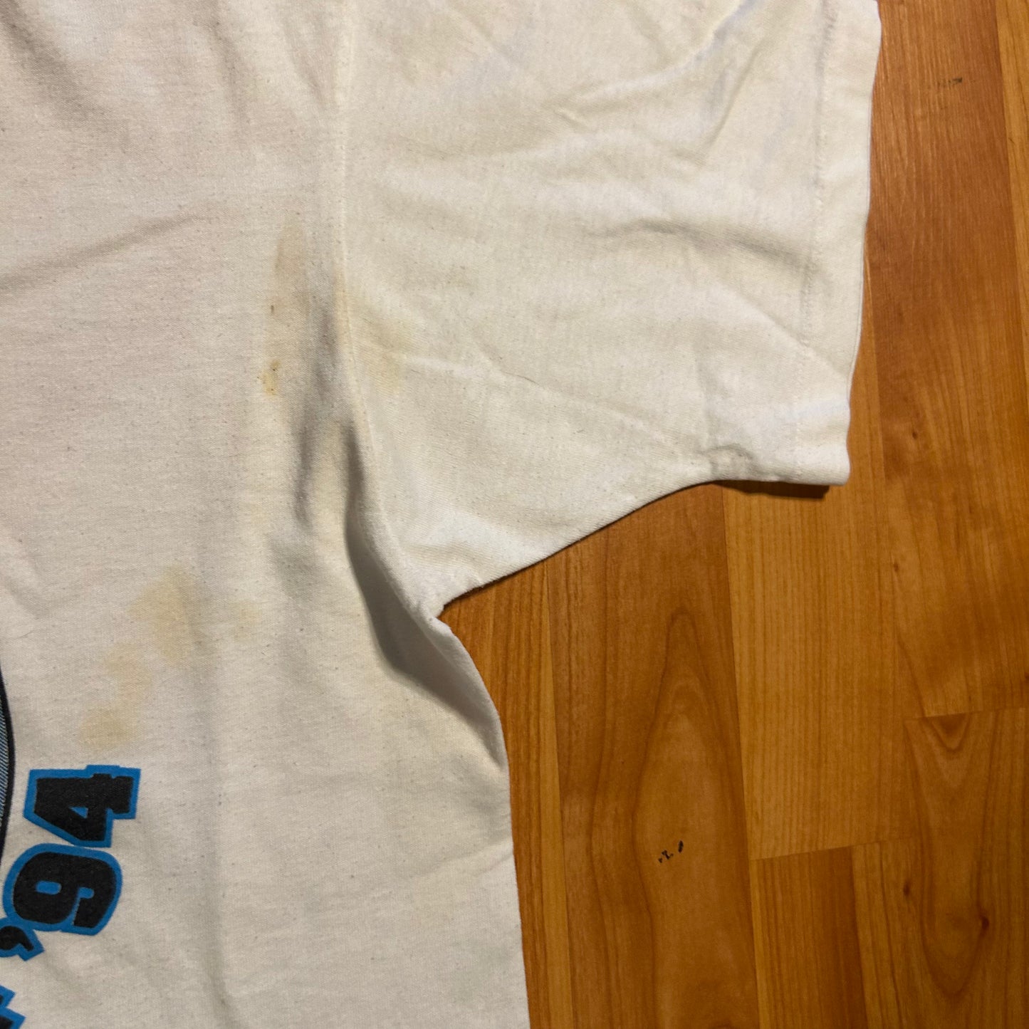 90's FOTL Best I Survived The Ice Storm of 1994 White Tshirt - Medium - 21" x 27.5"