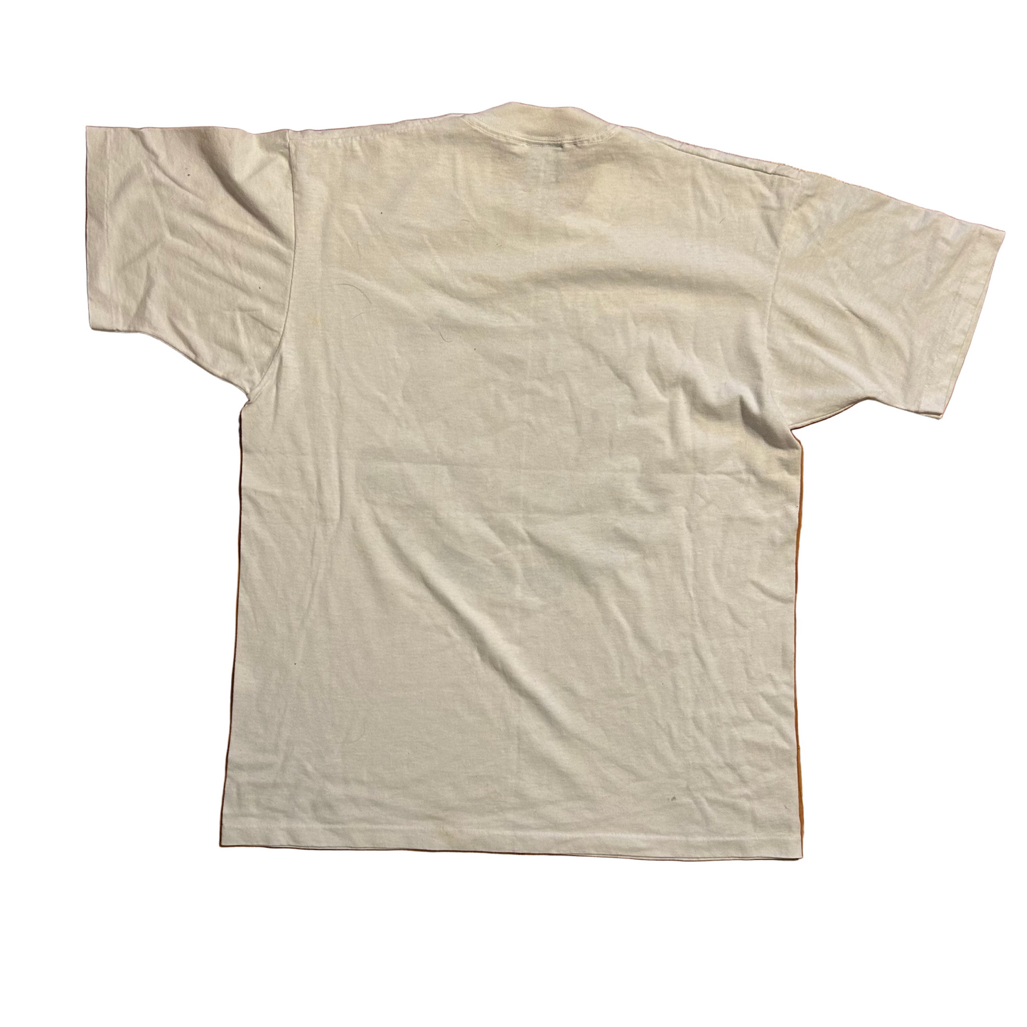 90's FOTL Best I Survived The Ice Storm of 1994 White Tshirt - Medium - 21" x 27.5"