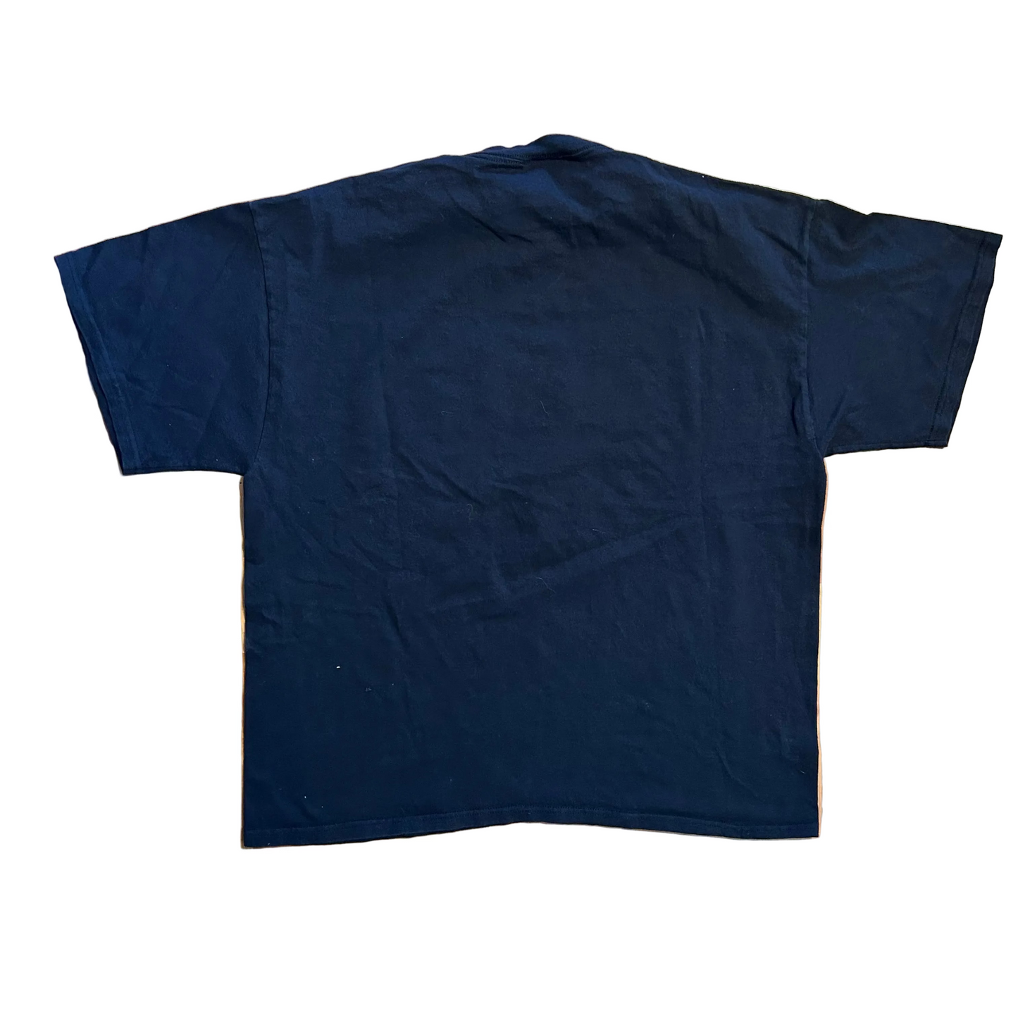 Delta Pro Weight Black Dog Skeleton Tshirt - Large - 23" x 27"
