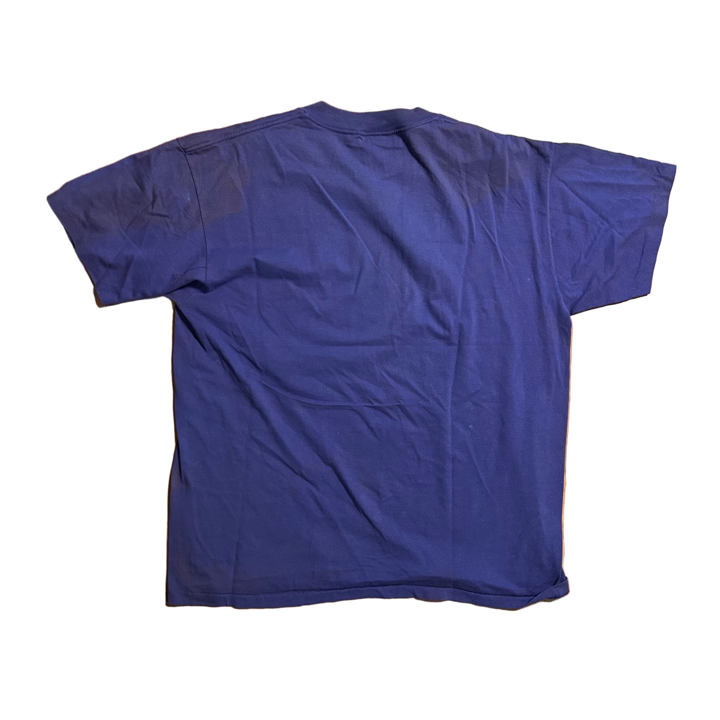 90's Oneita Arizona Native American Purple Tshirt - Large - 23" x 28.5"