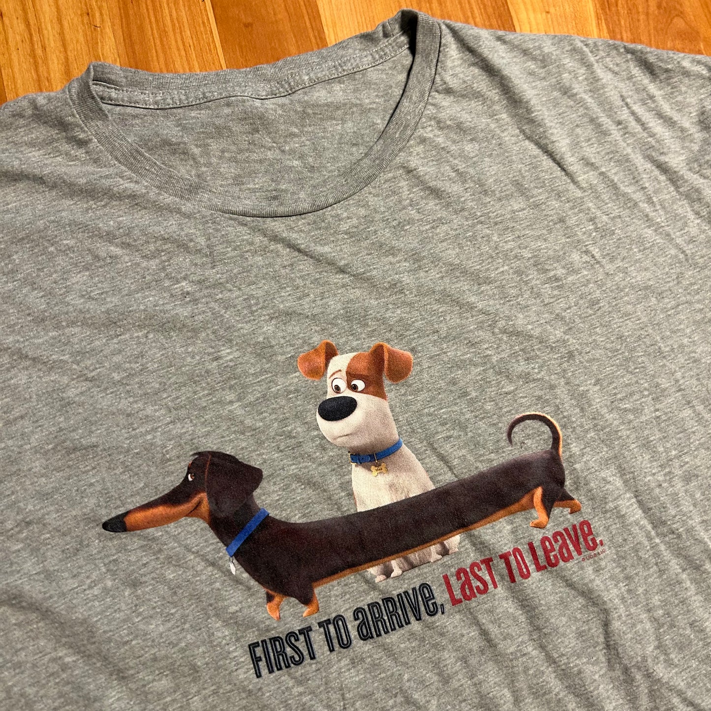First to Arrive Last to Leave Secret Life of Pets Grey Tshirt - XLarge - 25" x 31"