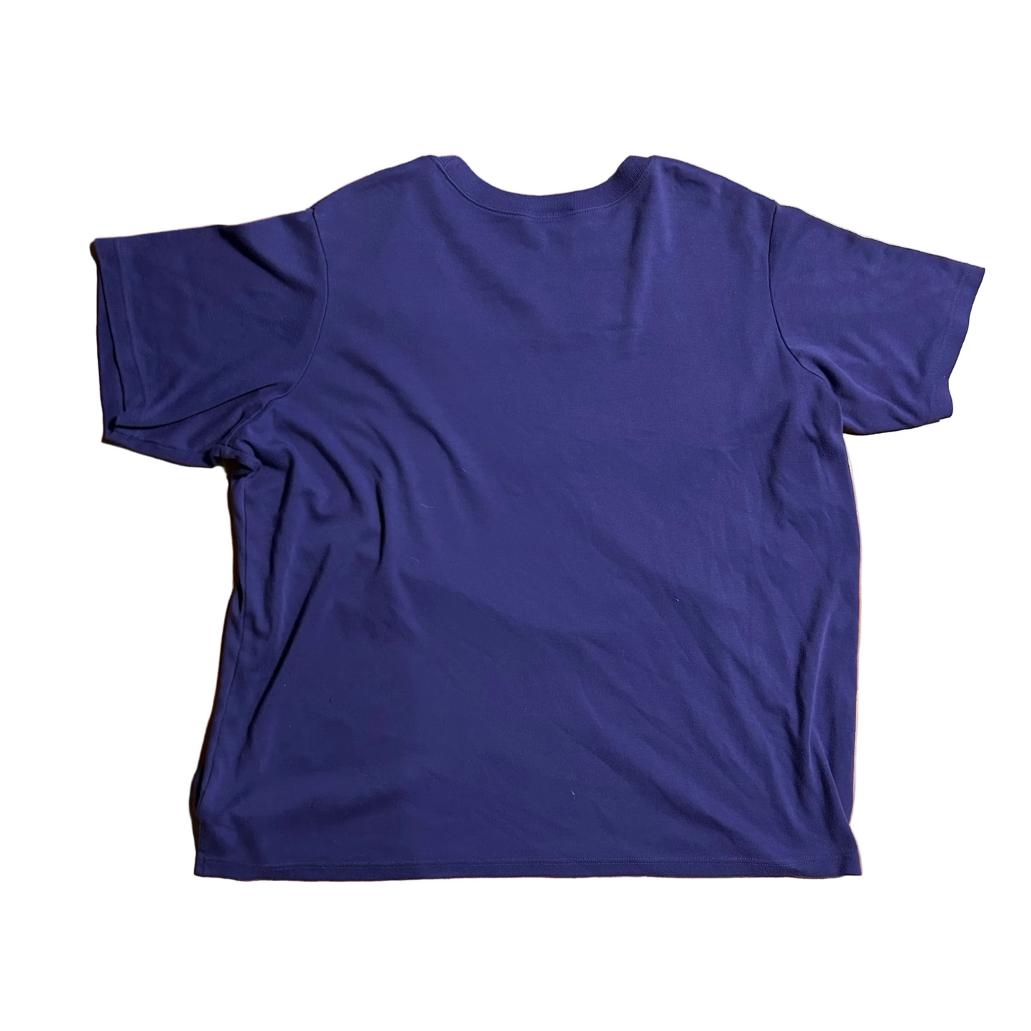 Only Necessities Purple Embroidered Terrier Tshirt - XLarge - 27" x 30"