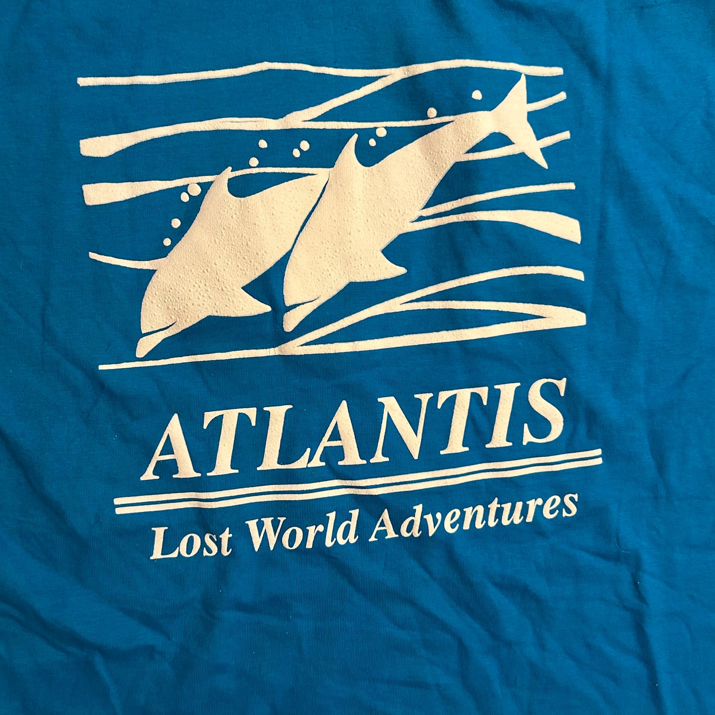 90's Hanes Beefy Atlantis Lost World Adventures Blue Tshirt - Medium - 21.5" x 30"