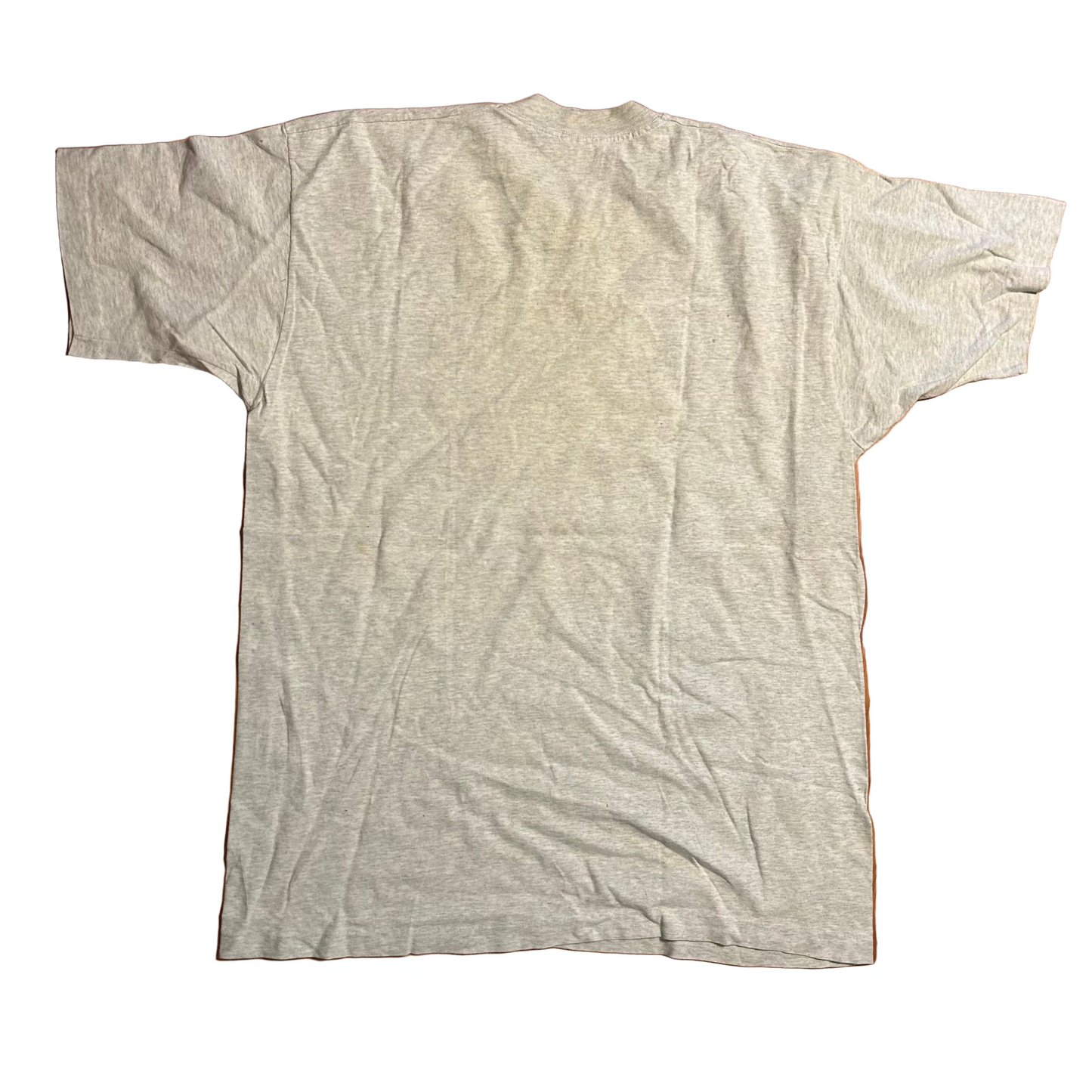 90's FOTL Bald Eagle Endangered Grey Tshirt - Large - 23.5" x 32"