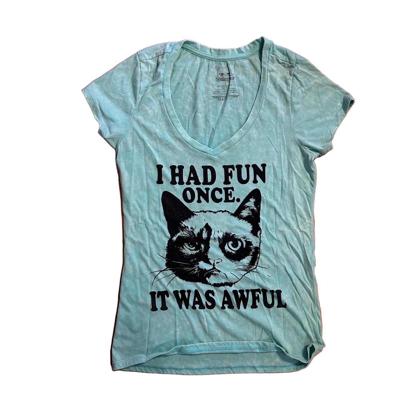 Grumpy Cat I Had Fun Once Mint Green Tshirt - XSmall - 16" x 27"