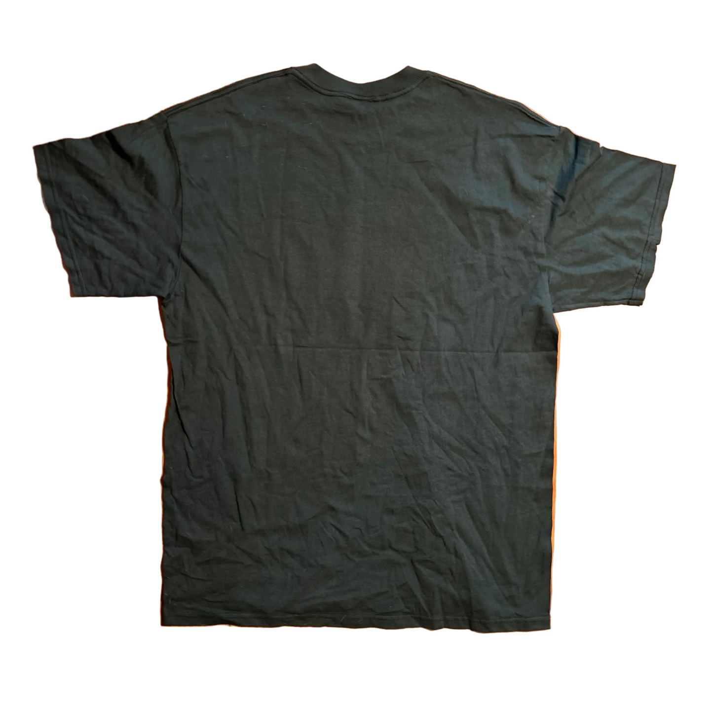 Smoky Mountains Gatlinburg Tennessee Green Embroidered Tshirt - Large - 23" x 33"