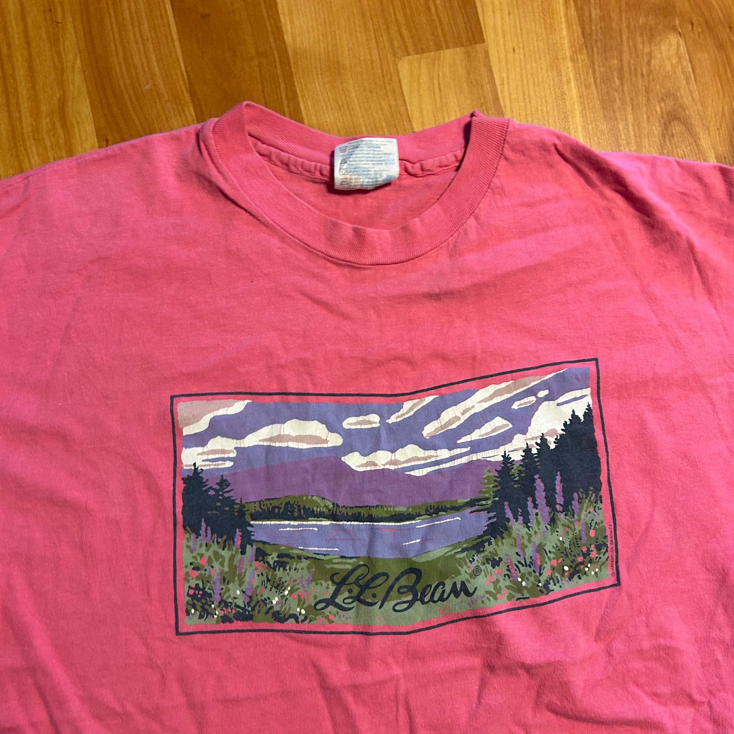 90’s Hanes Beefy LL Bean Pink Landscape Tshirt - Medium - 20" x 27"