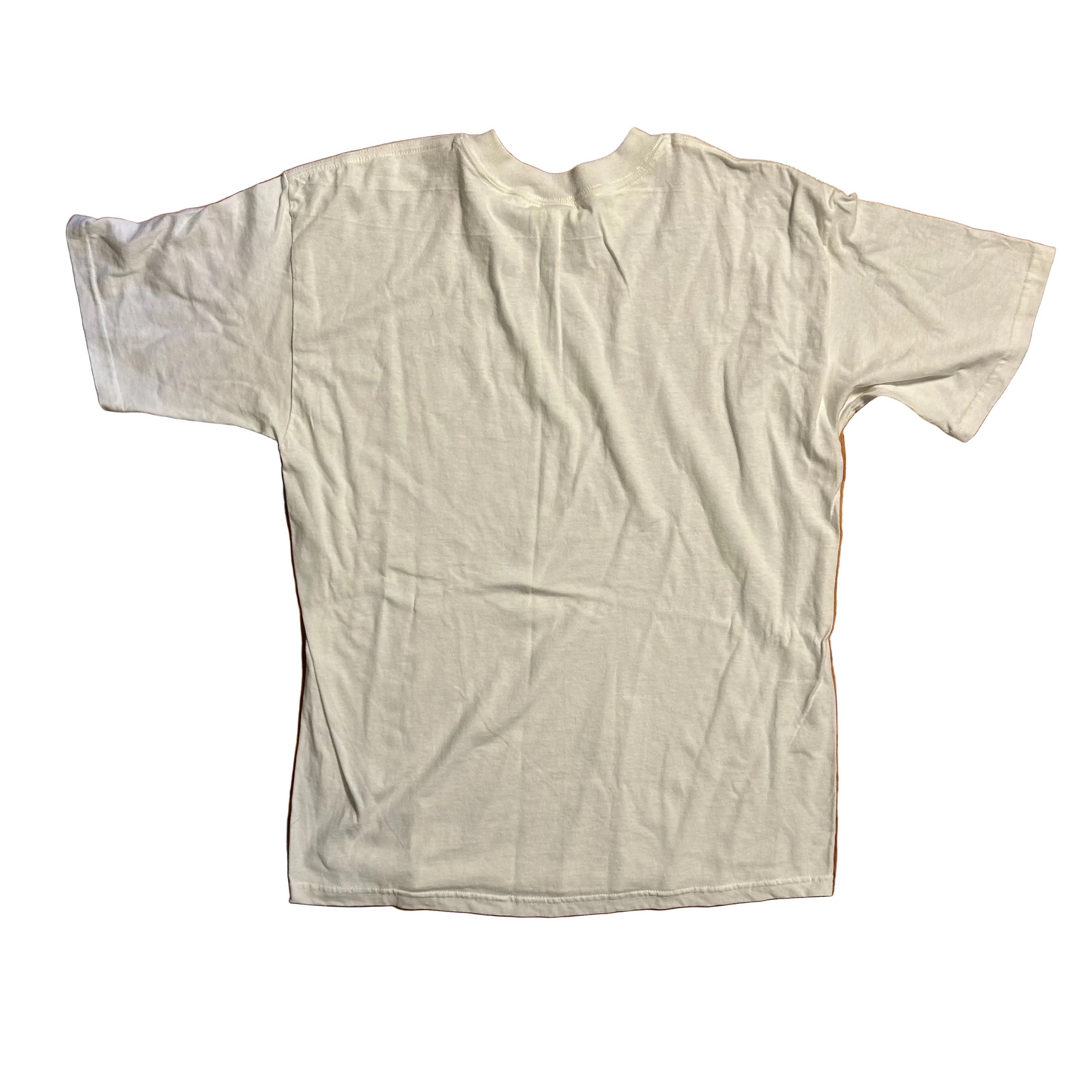 Gildan Heavy Cotton United States of America Great Seal Washington DC White Tshirt - Large - 22" x 30"