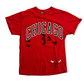 Chicago Bulls NBA Basketball Red Tshirt - Small - 18" x 27"