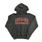 Champion Indiana University Grey Hoodie Sweatshirt - Medium - 20" x 25"