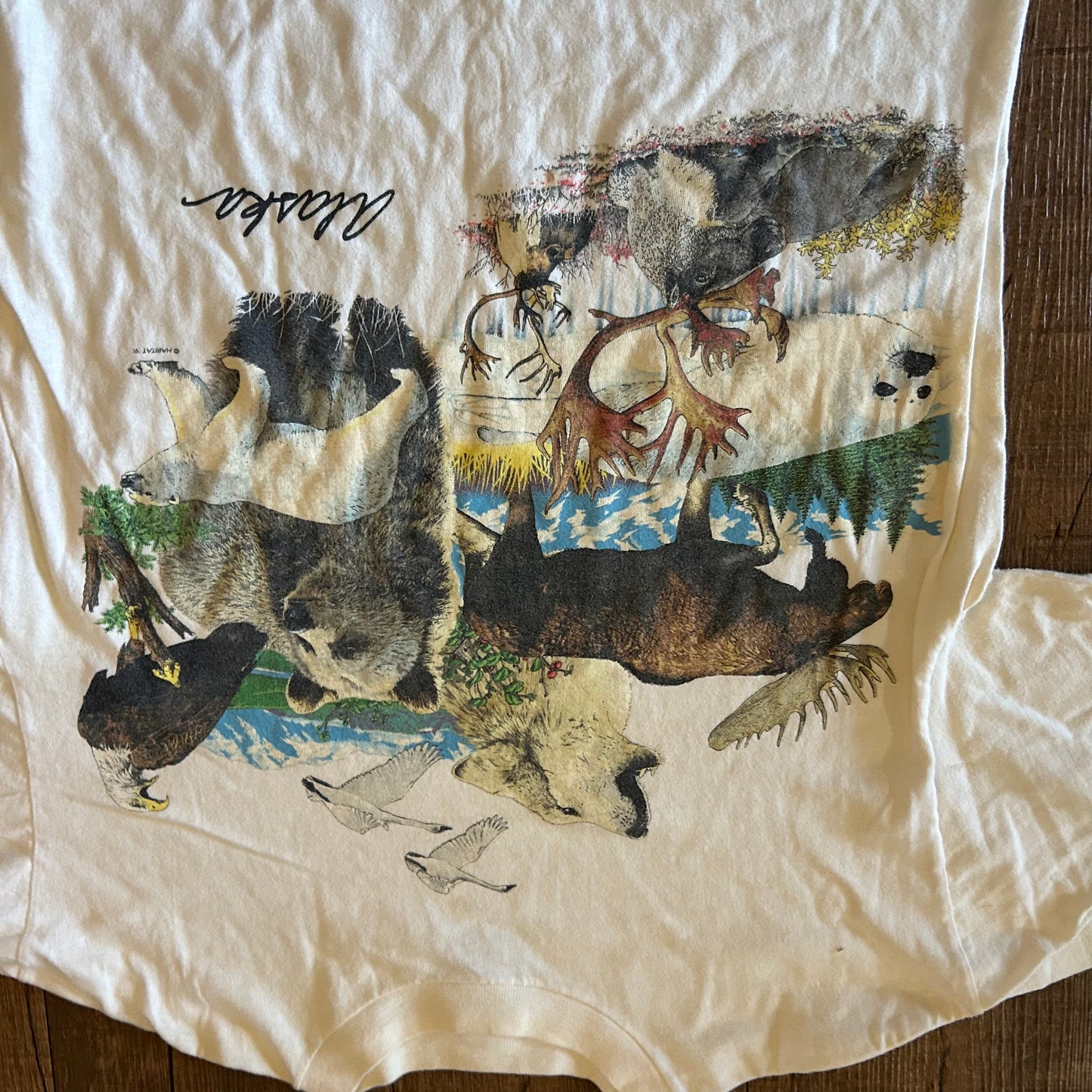 90’s Oneita Alaska Nature White Tshirt - Medium - 20" x 26"