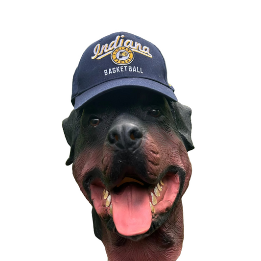 Indiana Pacers NBA Basketball Navy Blue L/XL Stretch Fit Hat