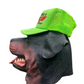 Sicko Workin Like a Sicko this Morning I Puked On Laundry Neon Green Decky Trucker Hat