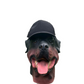 Blank Black George Hat