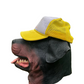 Illegal Civ Skateboarding Movie Yellow White Trucker Hat