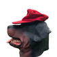 Amsterdam Holland Red Wool M/L Stretch Fit Hat