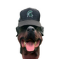 2019 Final Four Michigan State Spartans Basketball Black TOW Caps Hat